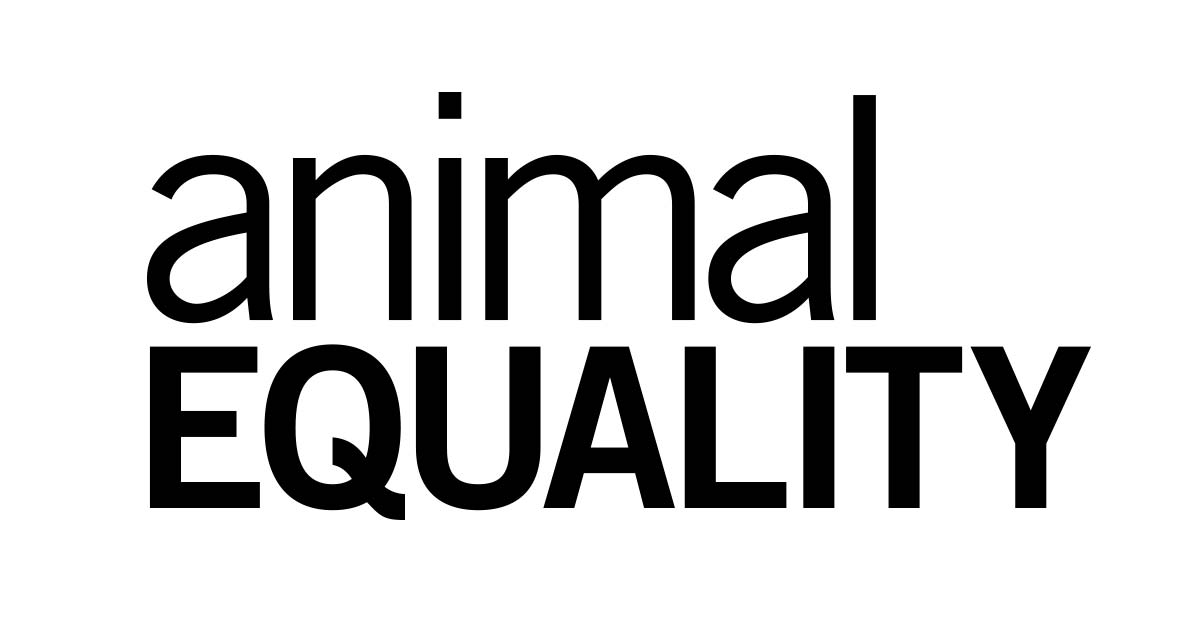 Animal Equality: in difesa degli animali