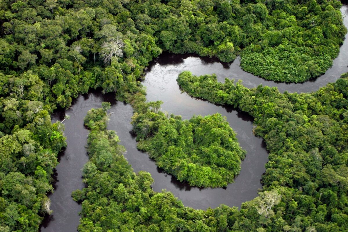 Che cos’è l’Amazon Institute of People and the Environment (Imazon)?