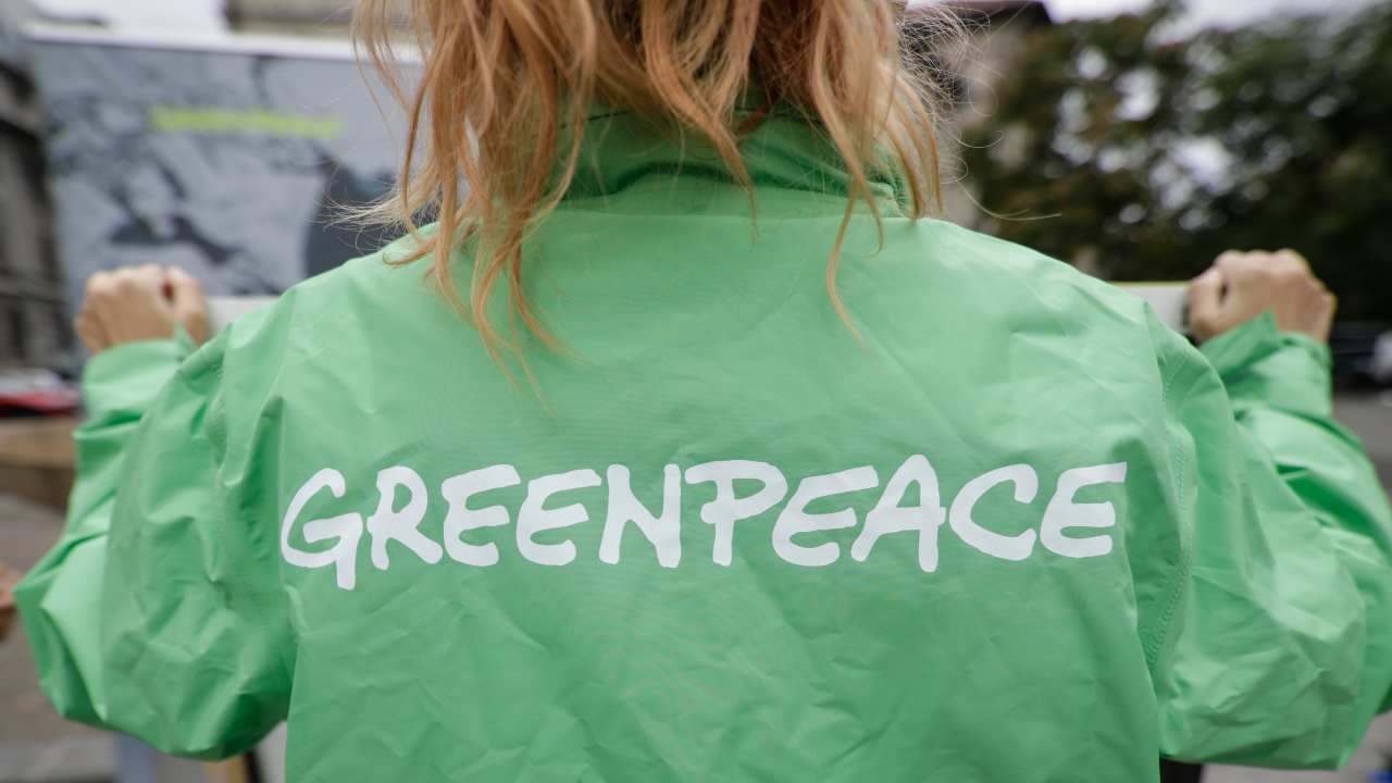 Greenpeace (1)
